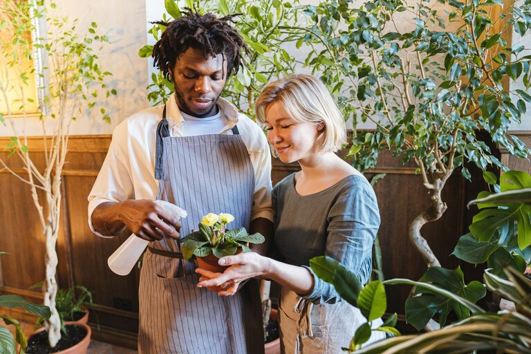 Essential Tips for Keeping Your Houseplants Healthy and Vibrant